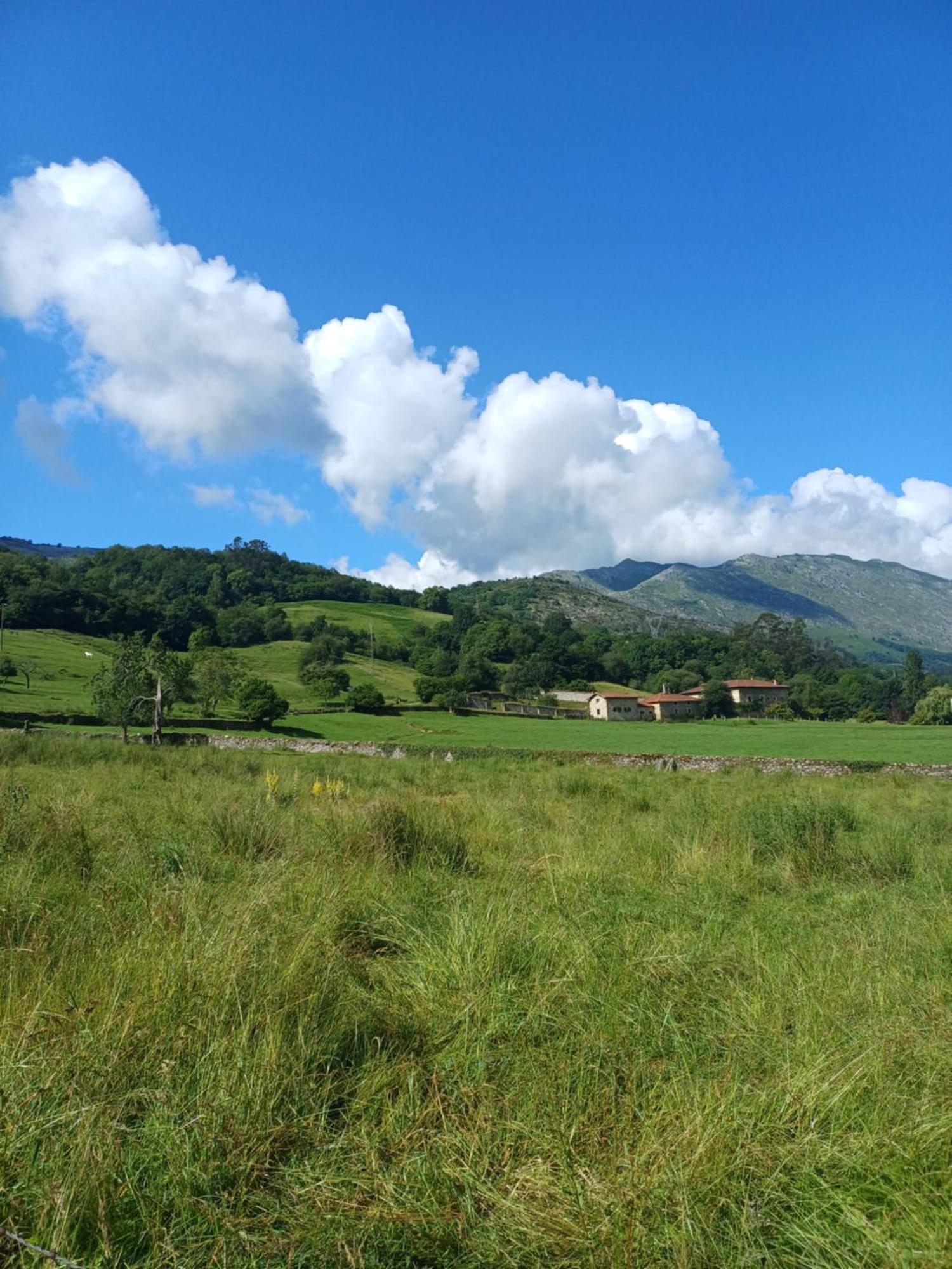 Villa Elena Panes Exteriér fotografie